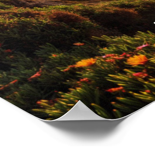 Sunset in Cabo de Roca Poster (Ecke)