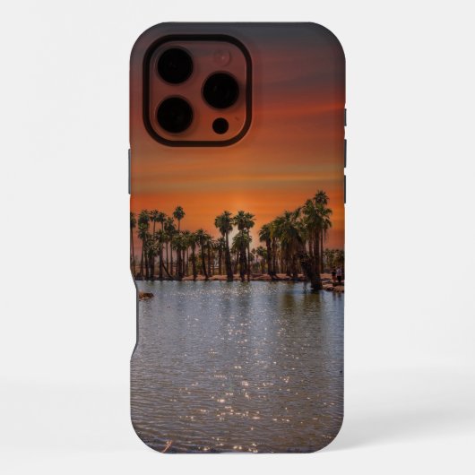 Sunset in Papago Park IPhone Case Hülle (Rückseite)