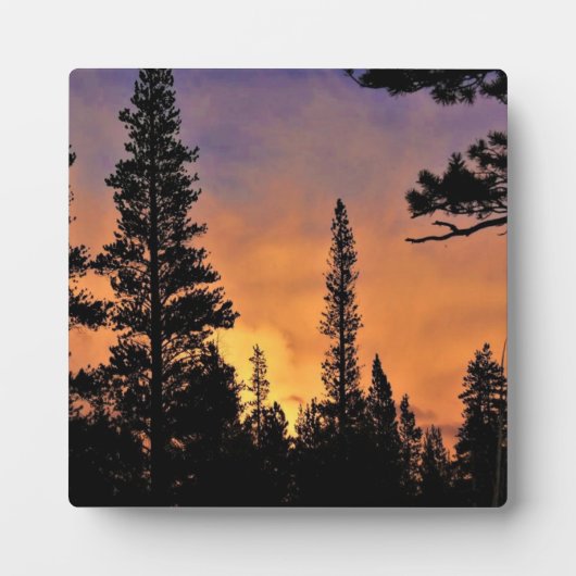 Sunset in Tuolumne Meadows, Yosemite, CA Fotoplatte (Vorderseite)