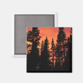 Sunset in Tuolumne Meadows, Yosemite, CA Magnet (Vorderseite/Rückseite)