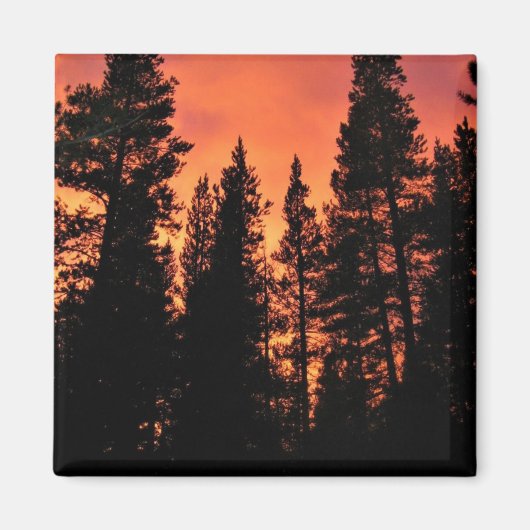 Sunset in Tuolumne Meadows, Yosemite, CA Magnet (Vorne)
