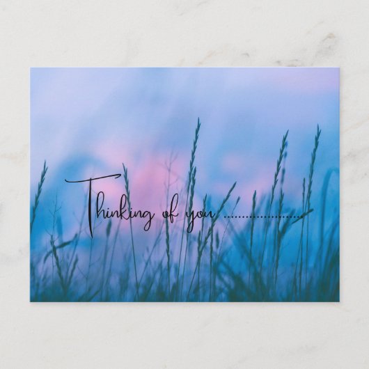 sunset in weeds  postkarte (Vorderseite)