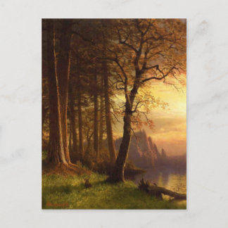 Sunset in Yosemite Postkarte
