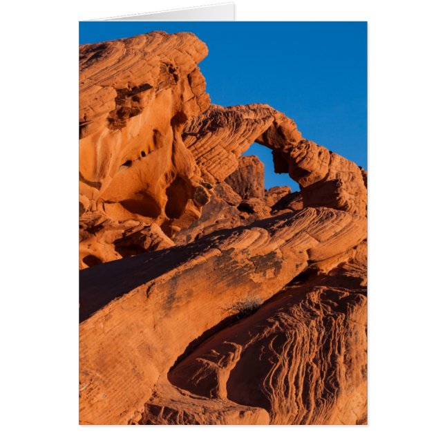 Sunset Inferno (Vorne)