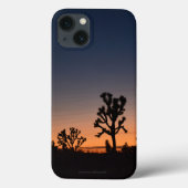 Sunset Joshua Trees Case-Mate iPhone Hülle (Rückseite)