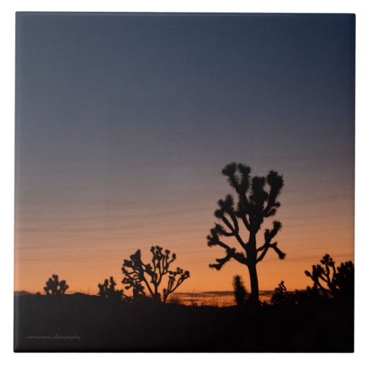 Sunset Joshua Trees Fliese (Vorderseite)