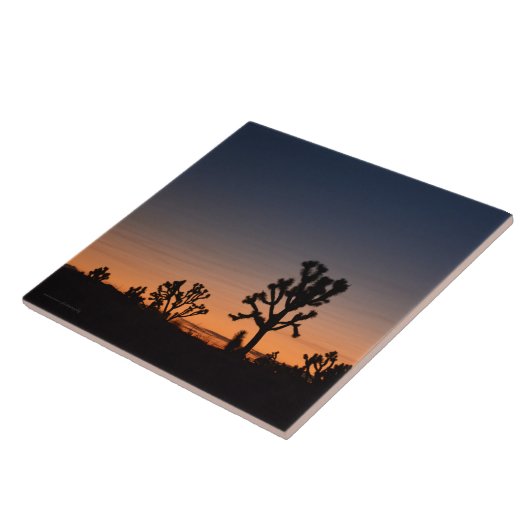 Sunset Joshua Trees Fliese (Seite)