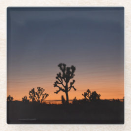 Sunset Joshua Trees Glasuntersetzer
