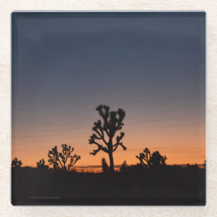 Sunset Joshua Trees Glasuntersetzer