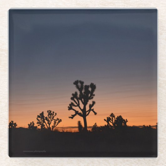 Sunset Joshua Trees Glasuntersetzer (Vorderseite)