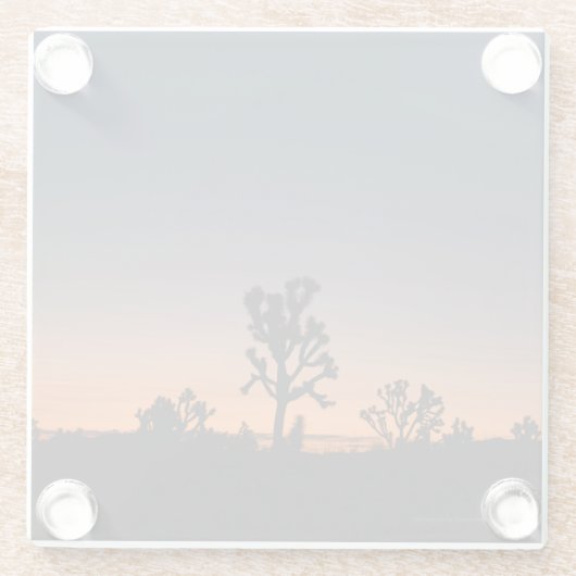 Sunset Joshua Trees Glasuntersetzer (Rückseite)