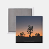 Sunset Joshua Trees Magnet (Vorderseite/Rückseite)
