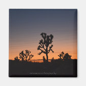Sunset Joshua Trees Magnet (Vorne)