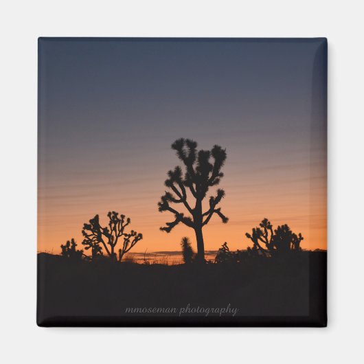 Sunset Joshua Trees Magnet (Vorne)