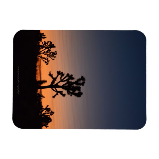 Sunset Joshua Trees Magnet (Horizontal)