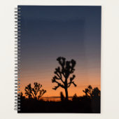 Sunset Joshua Trees Planer (Vorderseite)