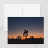 Sunset Joshua Trees Postkarte (Vorne/Hinten)