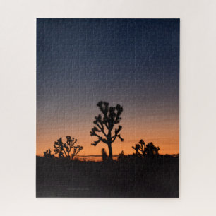Sunset Joshua Trees Puzzle