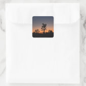 Sunset Joshua Trees Square Sticker (Tasche)