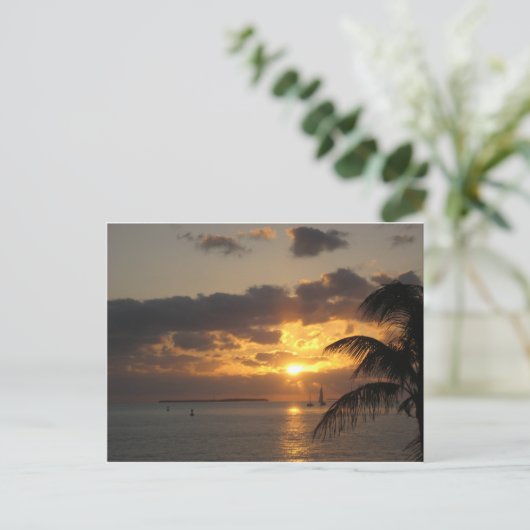 Sunset Key West, Florida Postkarte (Stehend Vorderseite)