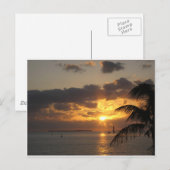 Sunset Key West, Florida Postkarte (Vorne/Hinten)