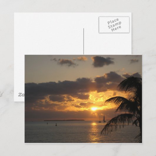 Sunset Key West, Florida Postkarte (Vorne/Hinten)