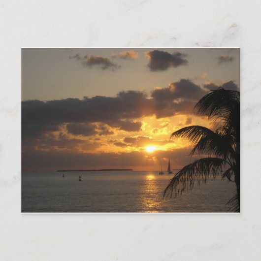 Sunset Key West, Florida Postkarte (Vorderseite)