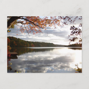Sunset Lake, Holly Springs NC Postkarte