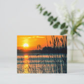 Sunset Lake Postcard Postkarte (Stehend Vorderseite)