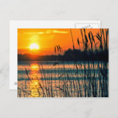 Sunset Lake Postcard Postkarte (Vorne/Hinten)