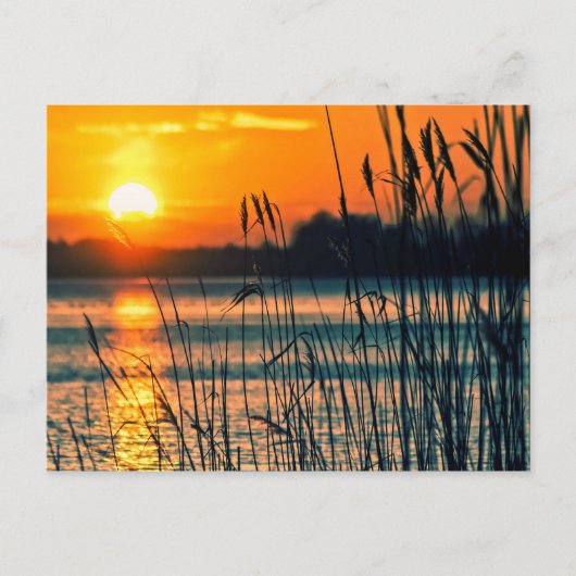 Sunset Lake Postcard Postkarte (Vorderseite)