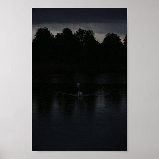 Sunset Lake Rain Schwanenwälder Landschaft Poster (Vorne)