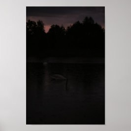 Sunset Lake Rain Schwanenwälder Landschaft Poster