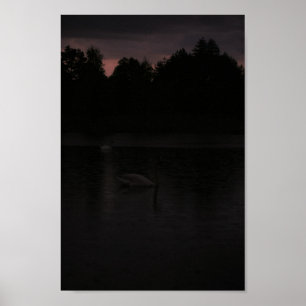 Sunset Lake Rain Schwanenwälder Landschaft Poster