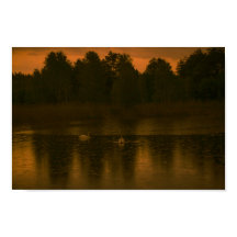 Sunset Lake Rain Schwanenwälder Landschaft