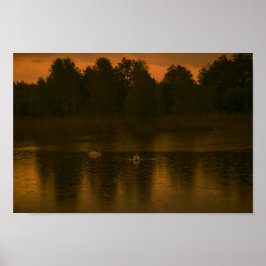 Sunset Lake Rain Schwanenwälder Landschaft Poster