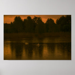Sunset Lake Rain Schwanenwälder Landschaft Poster