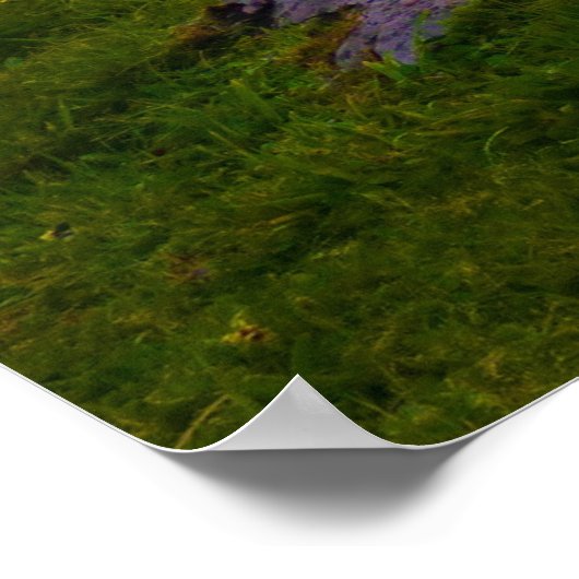 Sunset Landkreis Clare Dolmen Poster (Ecke)