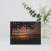Sunset Landscape Northumberland Postkarte (Stehend Vorderseite)