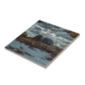 Sunset Lit Harbour Siegel I in San Diego Fliese (Seite)