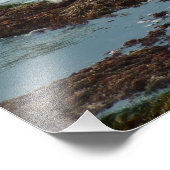 Sunset Lit Harbour Siegel I in San Diego Fotodruck (Ecke)