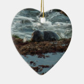 Sunset Lit Harbour Siegel I in San Diego Keramik Ornament (Rechts)