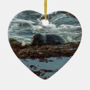 Sunset Lit Harbour Siegel I in San Diego Keramik Ornament