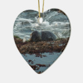 Sunset Lit Harbour Siegel I in San Diego Keramik Ornament (Links)