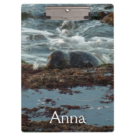 Sunset Lit Harbour Siegel I in San Diego Klemmbrett (Vorderseite)