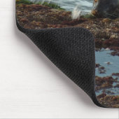 Sunset Lit Harbour Siegel I in San Diego Mousepad (Ecke)