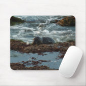 Sunset Lit Harbour Siegel I in San Diego Mousepad (Mit Mouse)