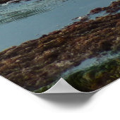 Sunset Lit Harbour Siegel I in San Diego Poster (Ecke)