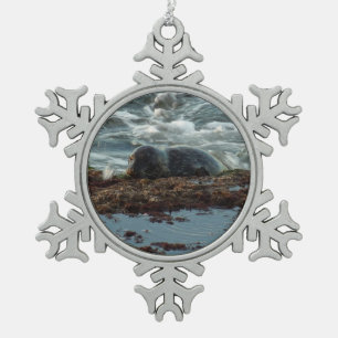 Sunset Lit Harbour Siegel I in San Diego Schneeflocken Zinn-Ornament