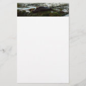 Sunset Lit Harbour Siegel II in San Diego Briefpapier (Vorderseite)